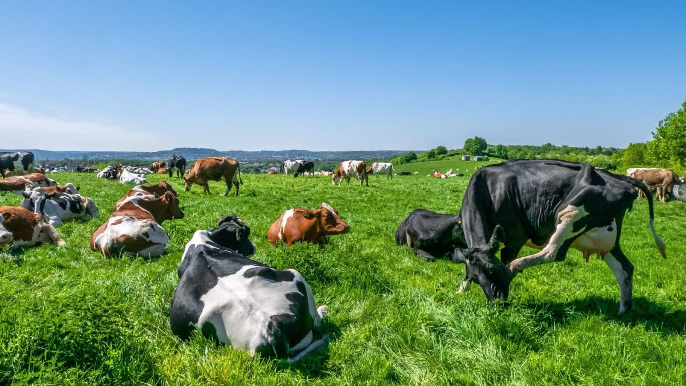 ExpoGaranhuns 2026 impulsiona o agronegócio no Agreste pernambucano com foco em inovação e tecnologia