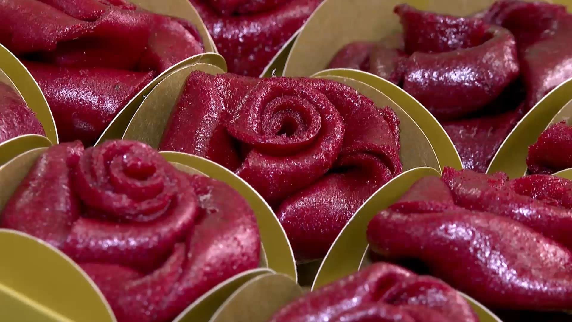 Projeto inovador do Ifes transforma desperdício de frutas em 'couro vegetal' comestível