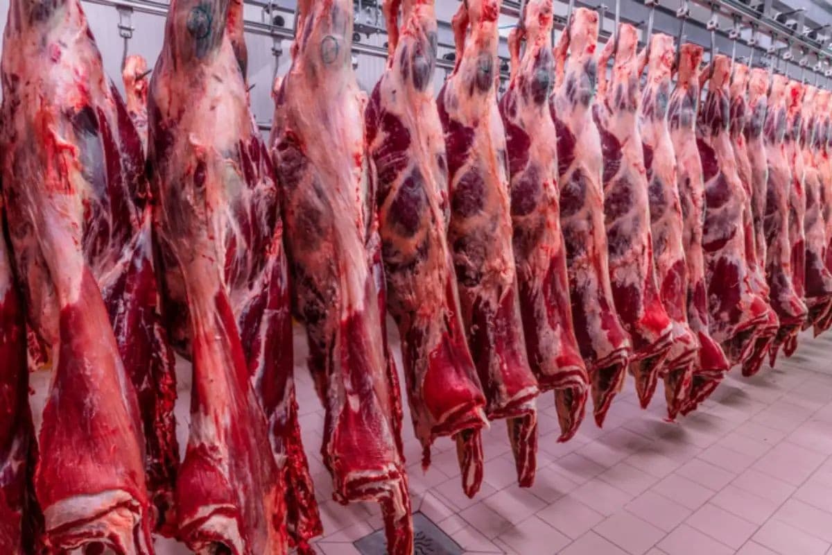 União Europeia exclui Brasil de lista de exportadores de carne e produtos animais