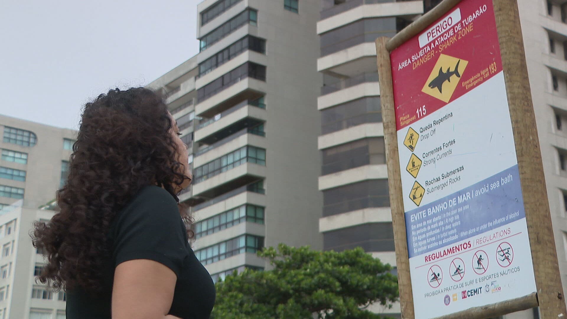 Onda de vandalismo contra placas de alerta de tubarão preocupa autoridades em Pernambuco