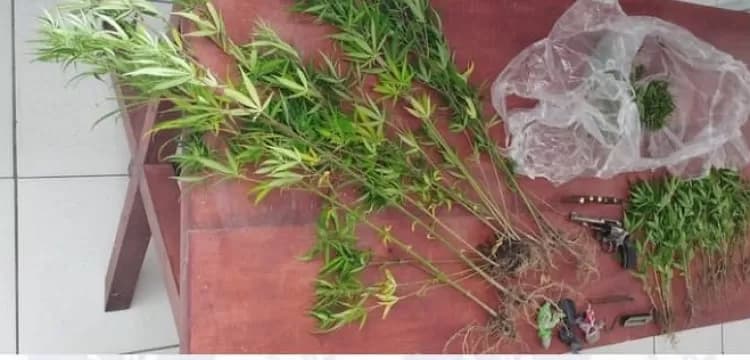 Drogas, armas e moto roubada em Pesqueira