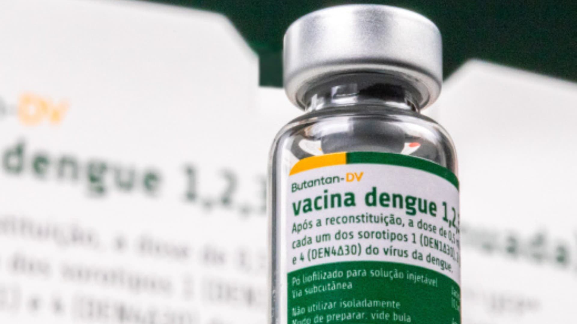 Governo de Pernambuco suspende vacinação contra a dengue com imunizante do Instituto Butantan