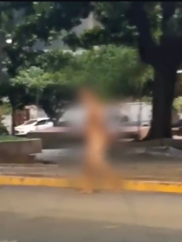 Homem é flagrado nu no Centro de Arcoverde e causa apreensão entre comerciantes
