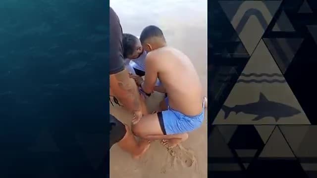 Ataques de tubarão no litoral pernambucano reacendem alerta sobre segurança e monitoramento