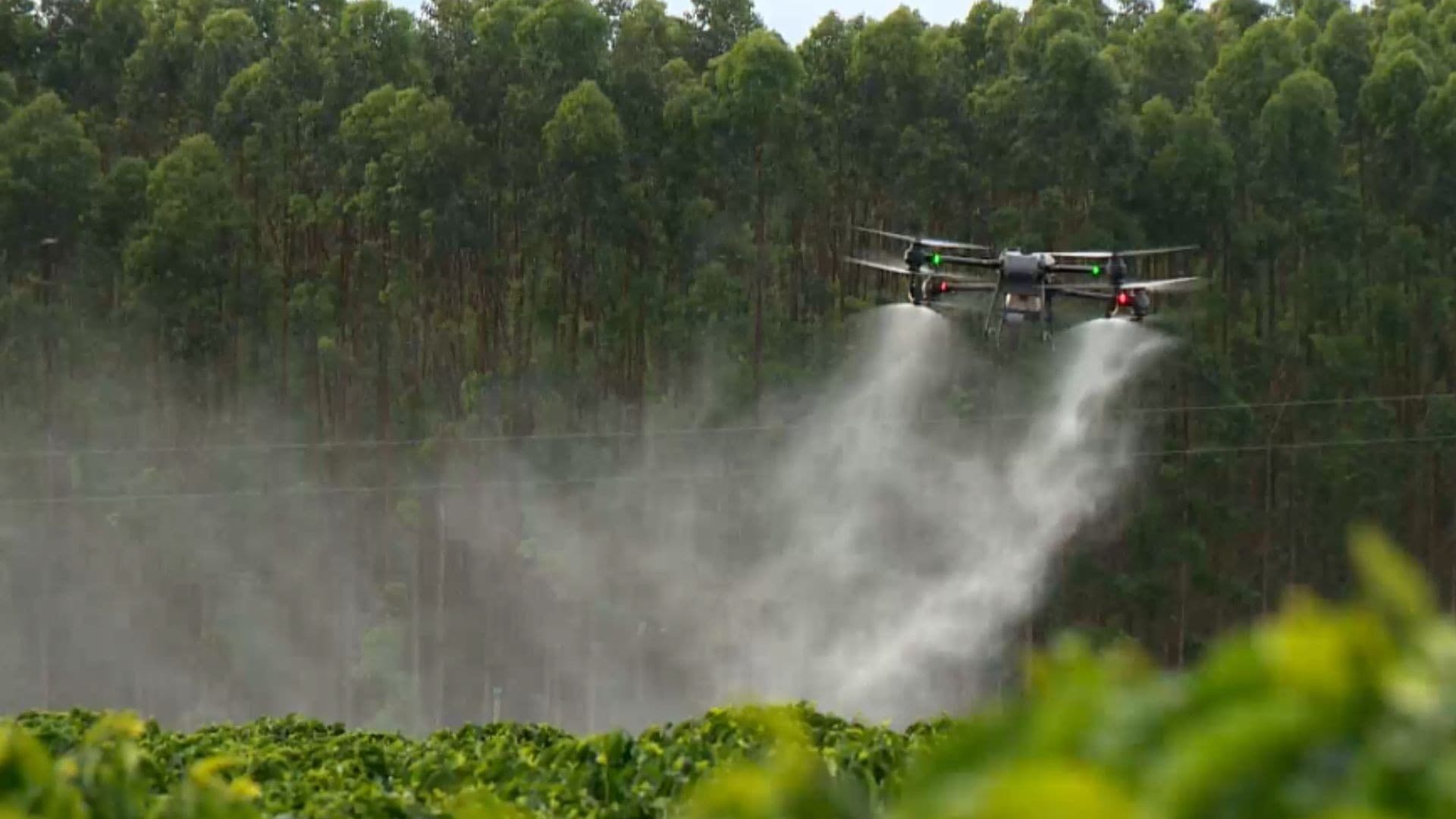 Mecanização e uso de drones transformam a produtividade no campo capixaba