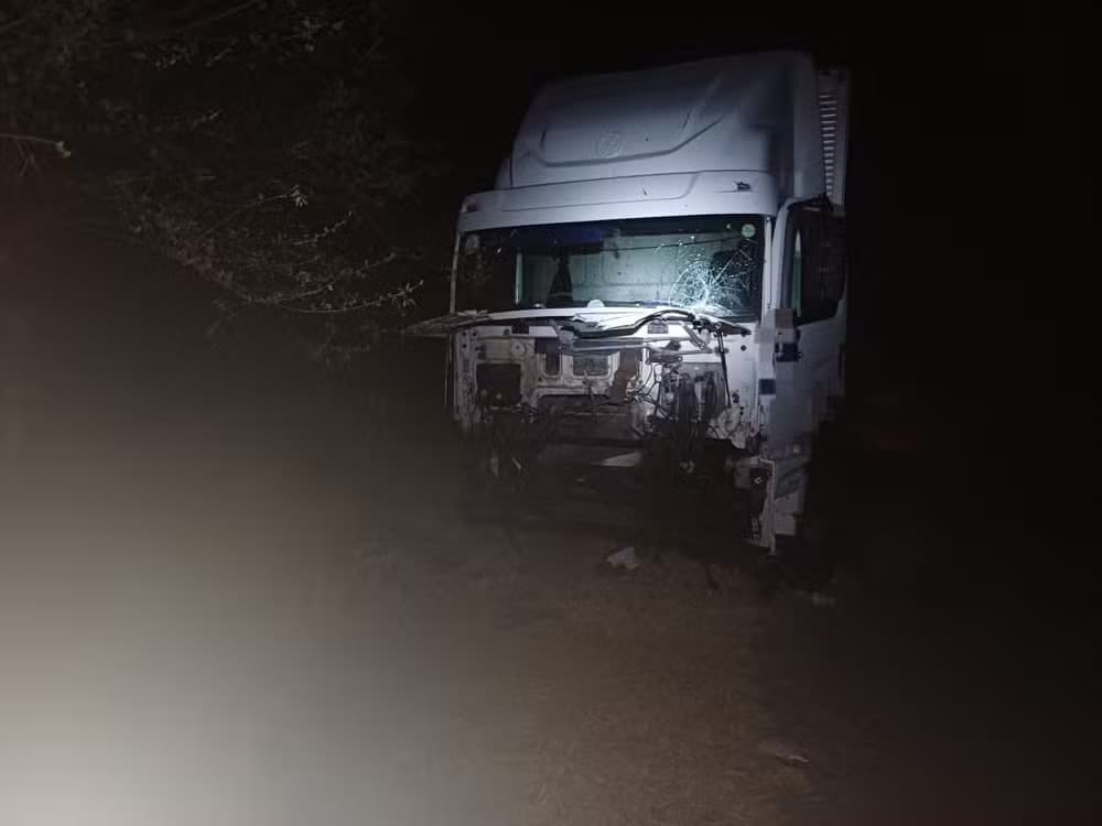 Caminhão atinge 10 bois soltos e sai da pista na BR-232, em Arcoverde
