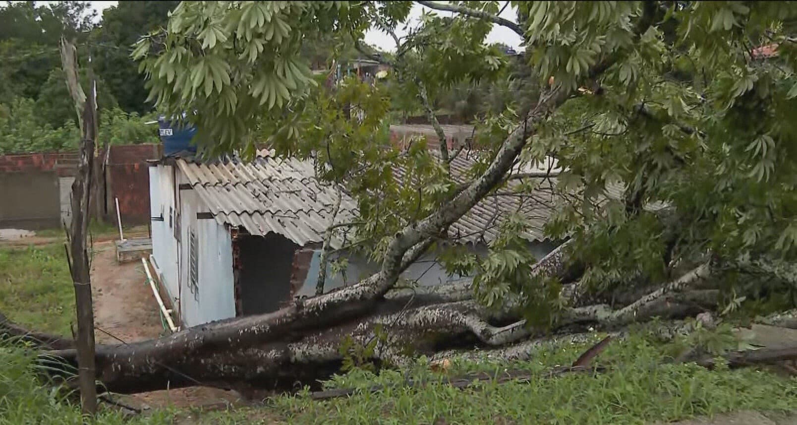 Chuva intensa causa tragédia, alagamentos e suspensão de aulas no Grande Recife