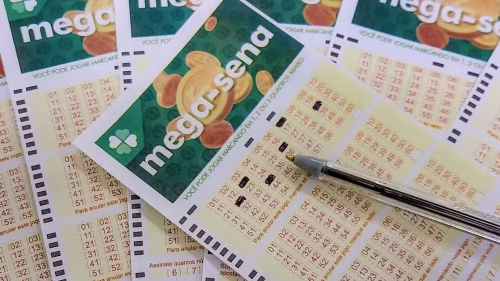 Mega-Sena sorteia milhões e 20 apostas do interior de Pernambuco faturam a quadra