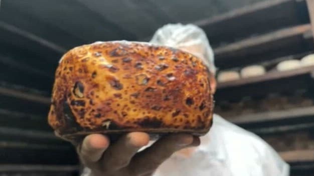 Inovação no campo: Produtor goiano utiliza caverna para maturação de queijos premiados
