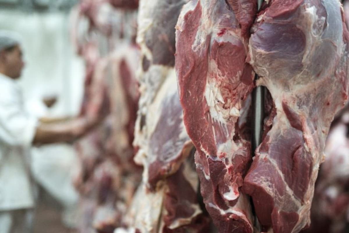 Brasil se aproxima do limite de exportação de carne bovina para a China e setor registra queda nos preços
