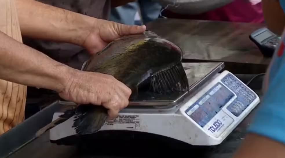 Cabrobó realiza 17ª Feira do Peixe Vivo com foco na Semana Santa