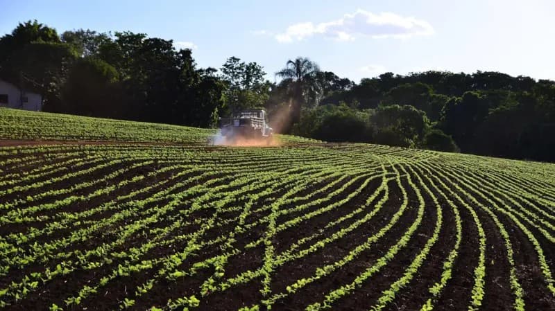 Conflito no Irã acende alerta vermelho sobre a segurança alimentar e o preço dos fertilizantes no Brasil