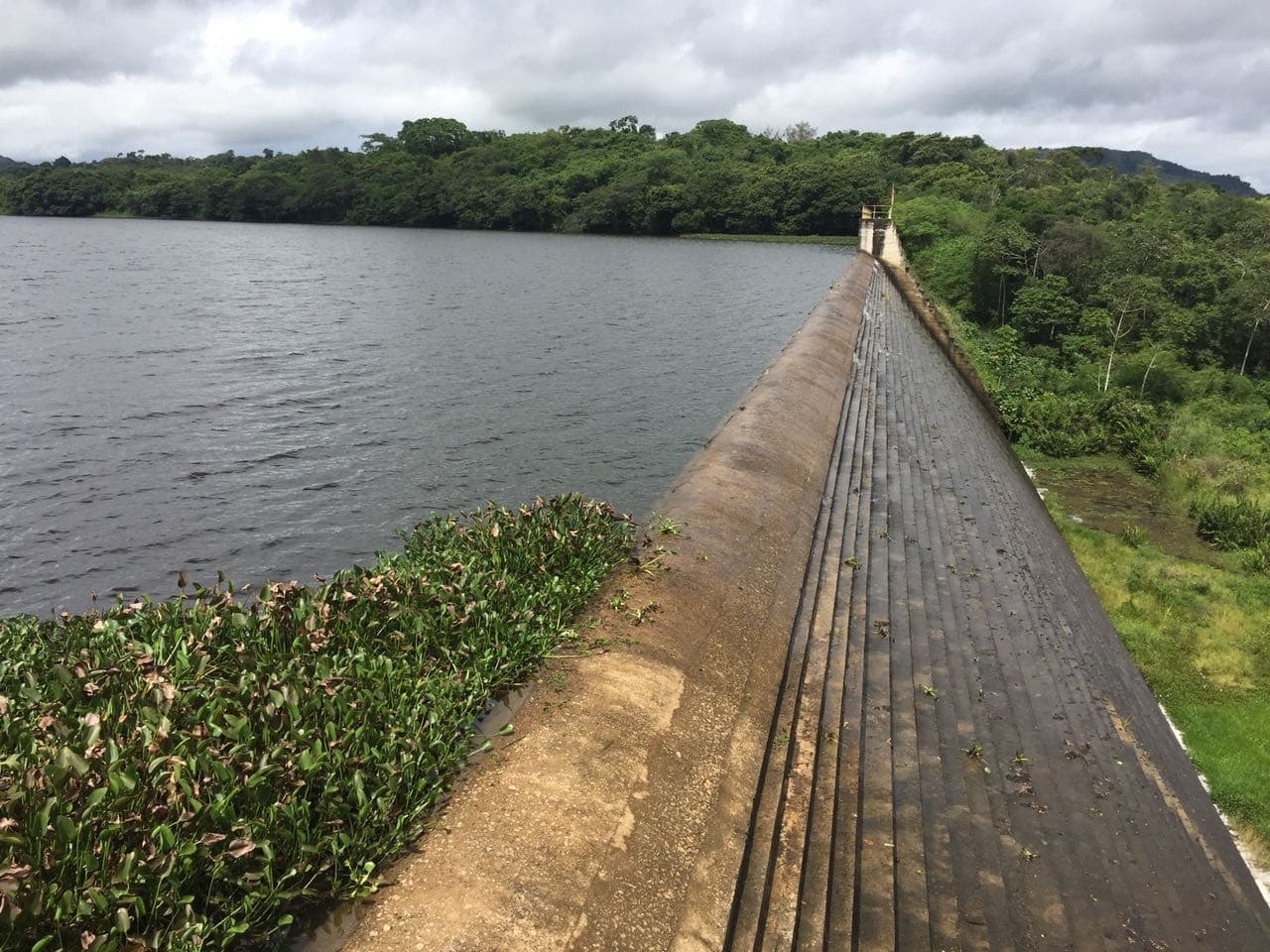 Nível de reservatórios em Pernambuco: Chuvas recentes melhoram cenário, mas dez barragens seguem em colapso