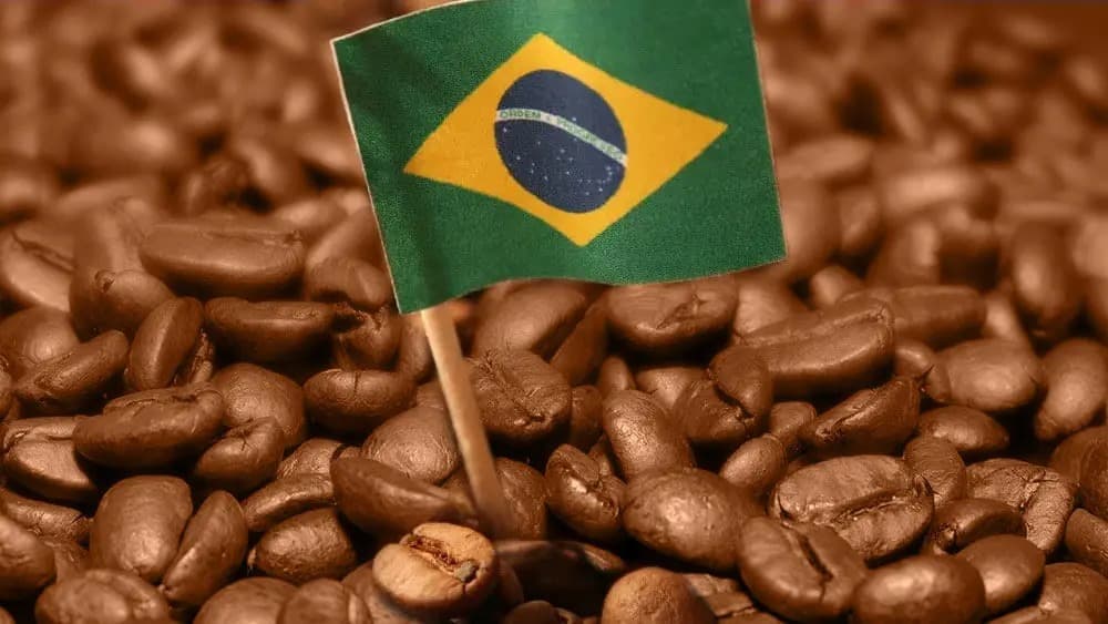 Exportações brasileiras de café caem em volume, mas receita cresce com alta internacional da commodity