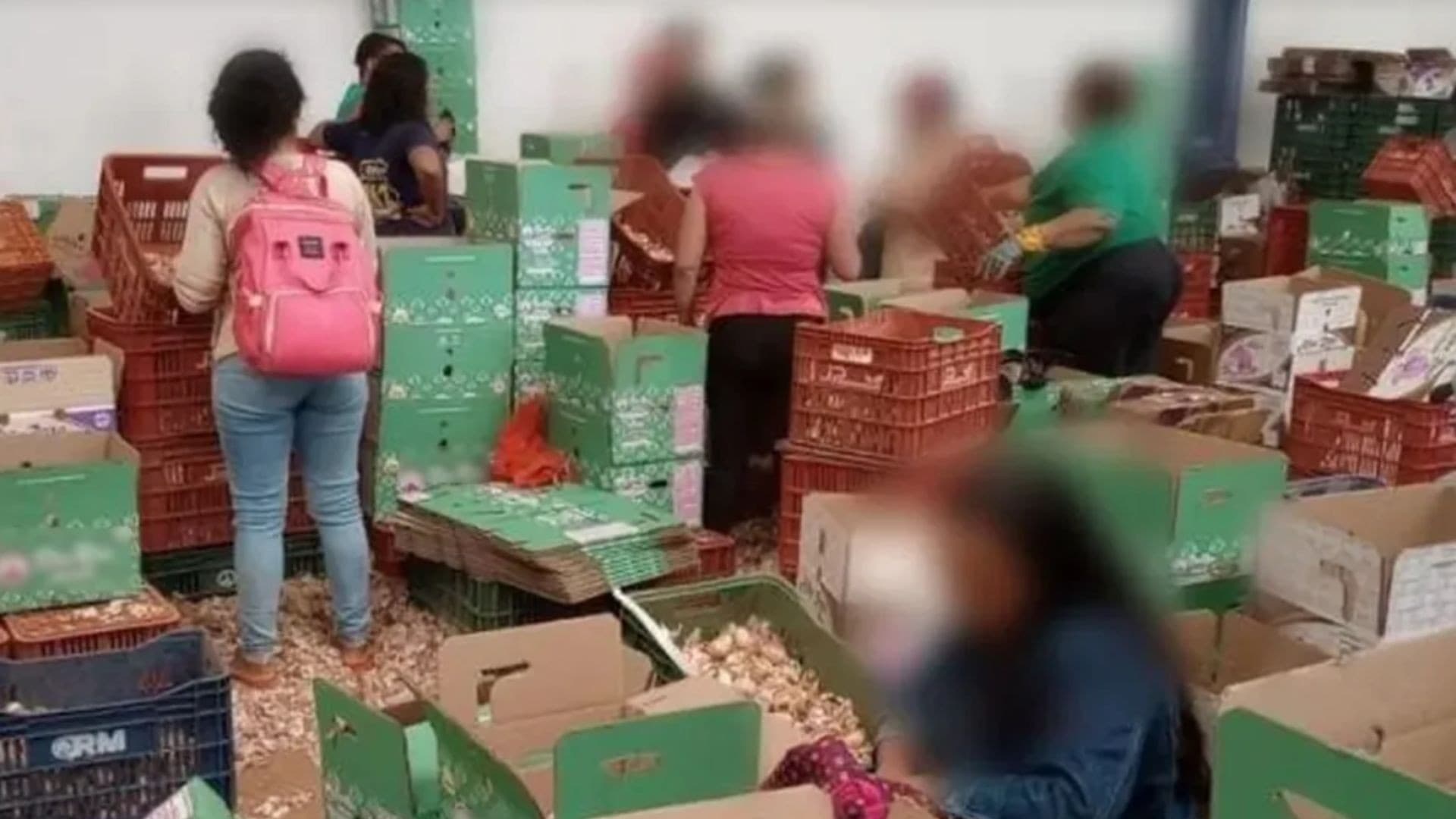 Justiça mantém multas contra produtor rural por condições degradantes em fábrica de alho