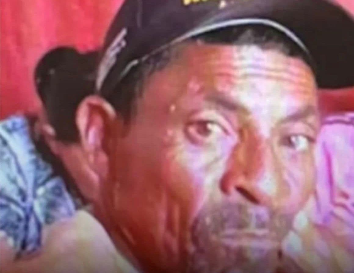 Idoso morre após ser atacado por enxame de abelhas em Arcoverde