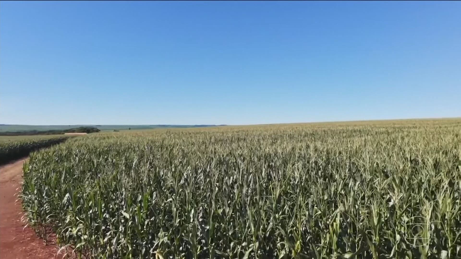 Ameaça climática: Super El Niño gera alerta global na produção agrícola e impacta mercado de commodities