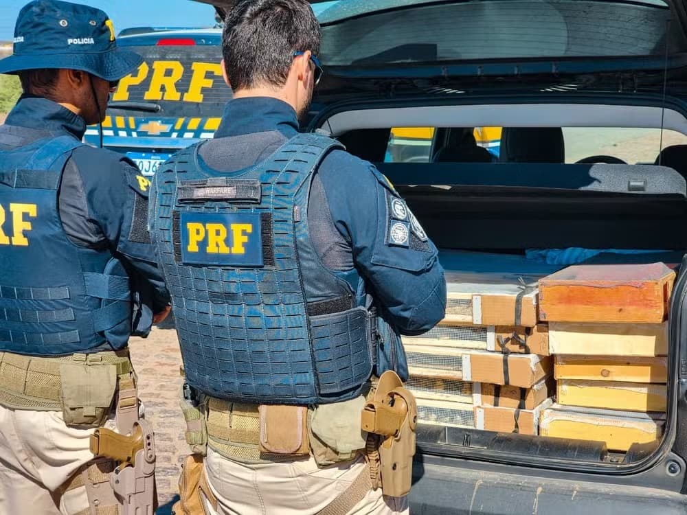 PRF apreende 465 pássaros silvestres e detém dois irmãos por crime ambiental em Venturosa