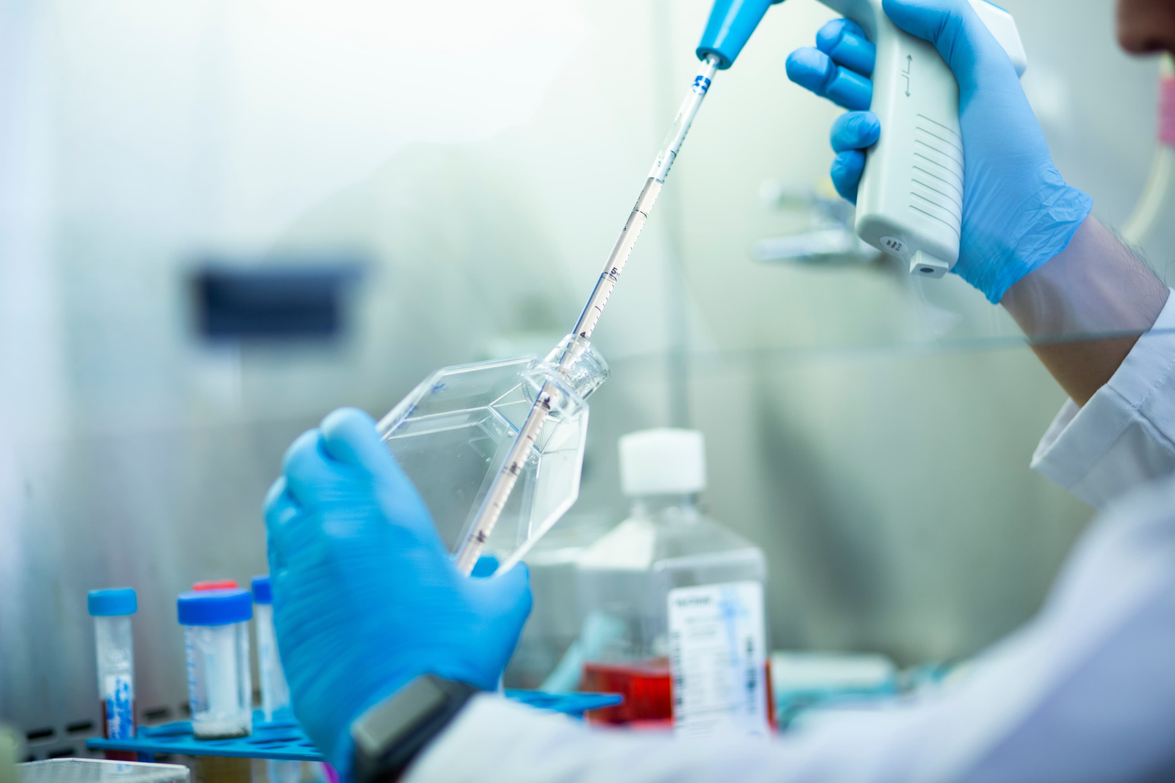 Brasil lança centro de pesquisa para desenvolver insumos farmacêuticos a partir da biodiversidade