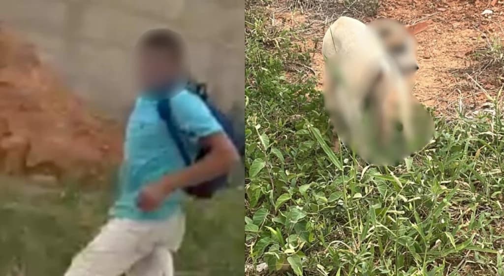 Denúncia de maus-tratos contra animal gera revolta nas redes sociais em Araripina