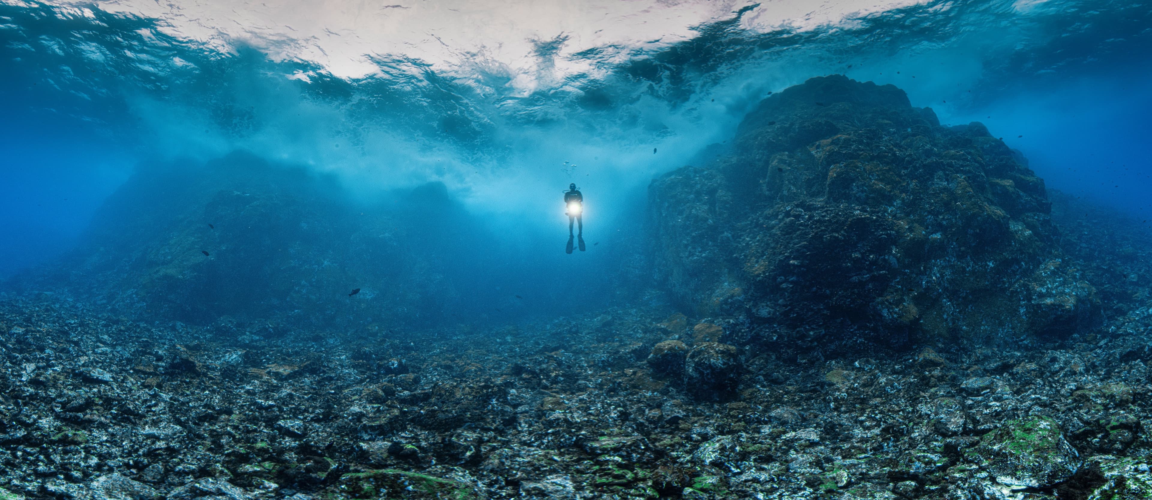 Fotógrafos revelam belezas ocultas de Fernando de Noronha com técnica de panorâmica subaquática
