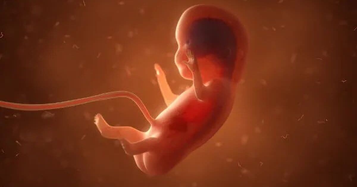 Projeto que derruba regras sobre aborto legal em crianças vítimas de abuso avança na Câmara