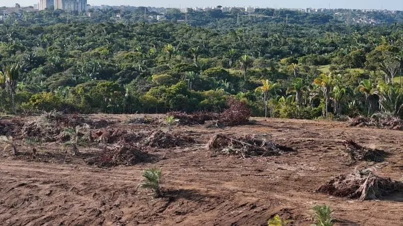 Congresso reverte vetos de Lula e restabelece pontos polêmicos do licenciamento ambiental