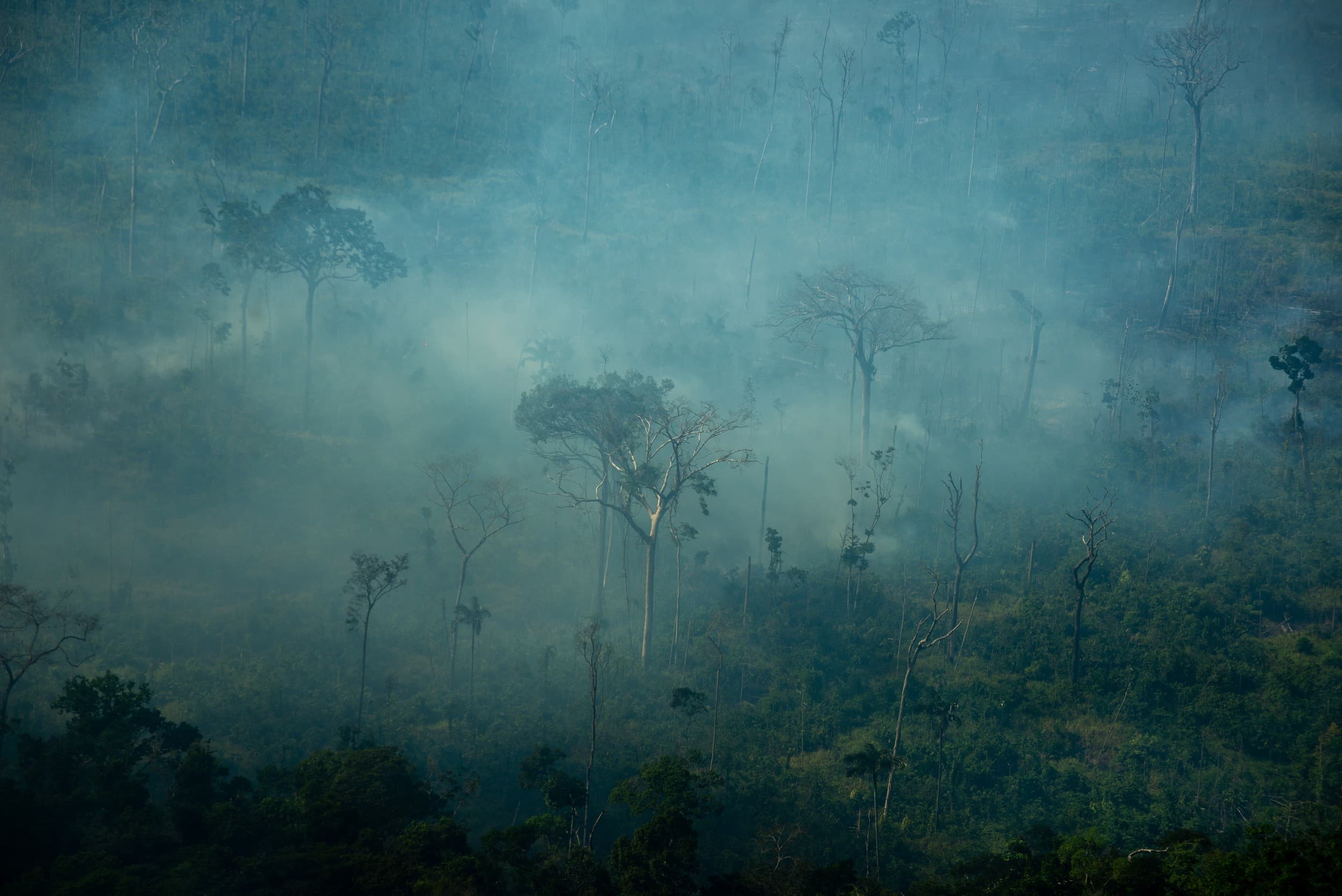 STF exige plano de ação contra risco de incêndios florestais na Amazônia e Pantanal