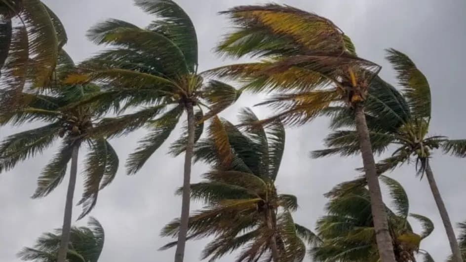 Ciclone extratropical mantém Santa Catarina em alerta; Joinville registra ventos de até 60 km/h