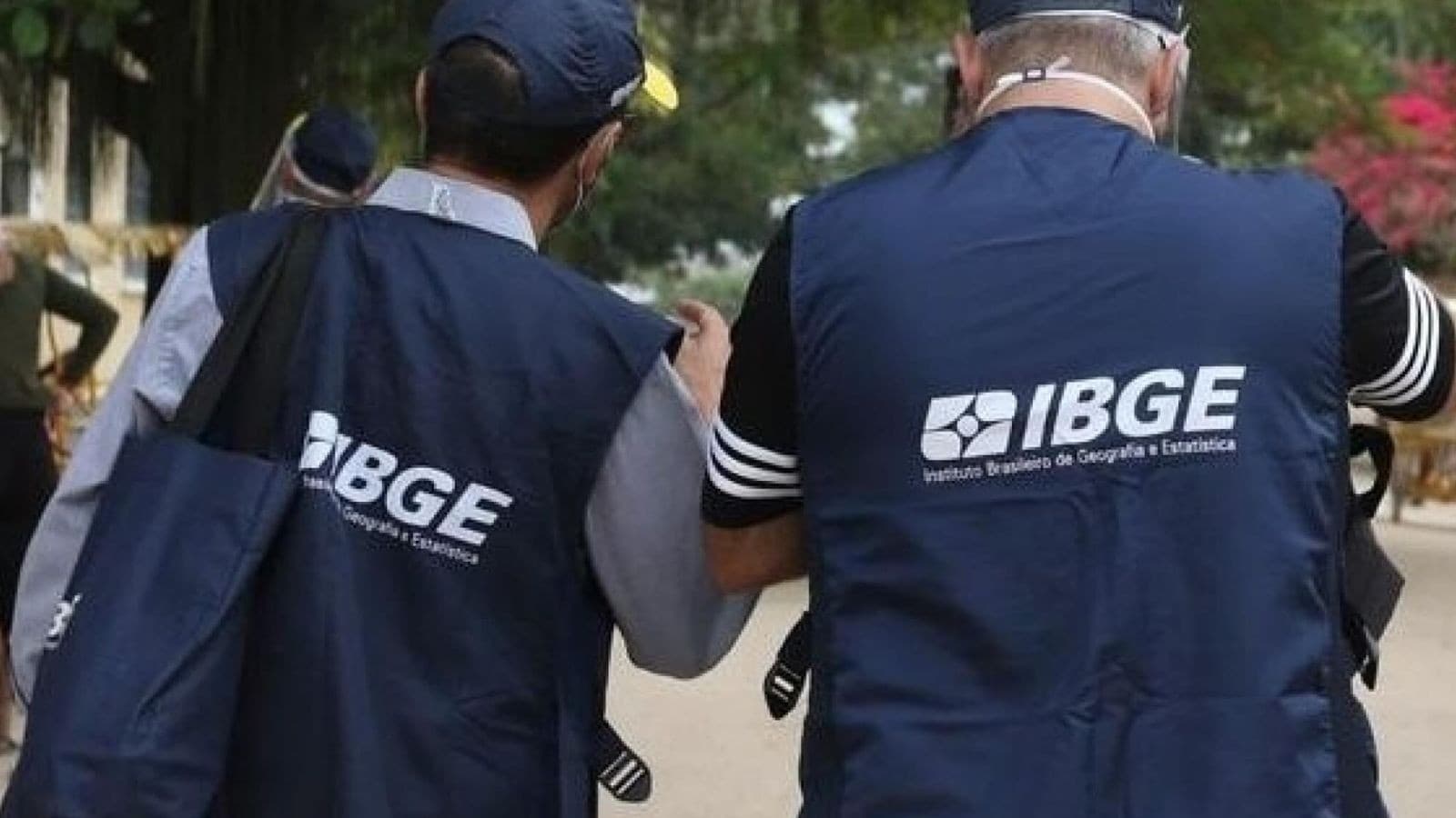 IBGE abre processo seletivo com mais de 8 mil vagas temporárias para o Censo Agropecuário