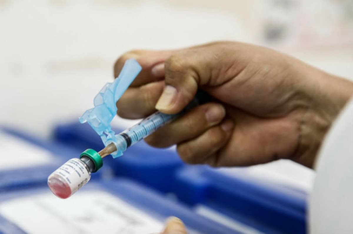 ALERTA DE SAÚDE: Brasil Confirma 34 Casos de Sarampo e Ministério da Saúde Pede Reforço Urgente na Vacinação