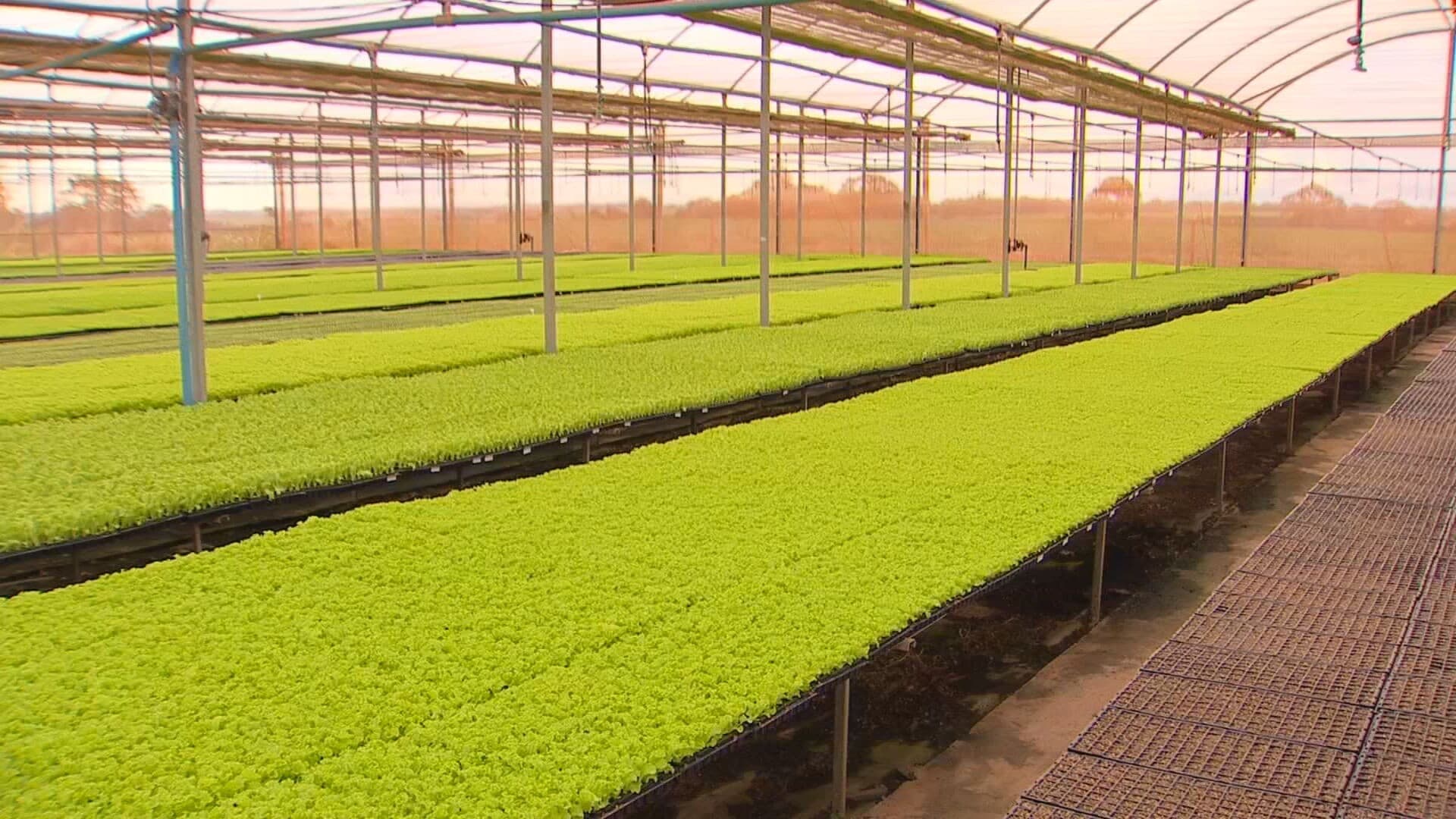 Tecnologia e gestão impulsionam a produtividade no agronegócio do interior paulista
