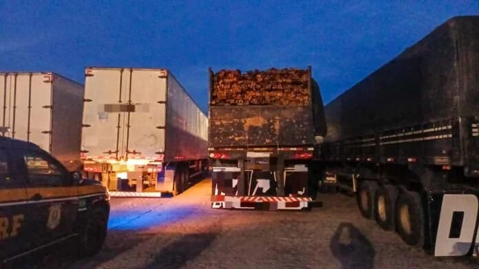 PRF apreende 100 m³ de madeira ilegal na BR-232, em sertania.