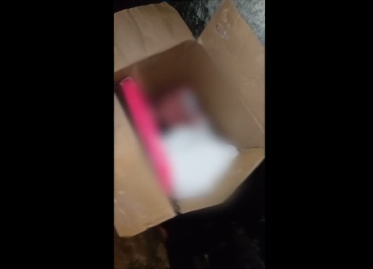 Recém-nascido é encontrado abandonado em caixa de papelão em Barra de Guabiraba