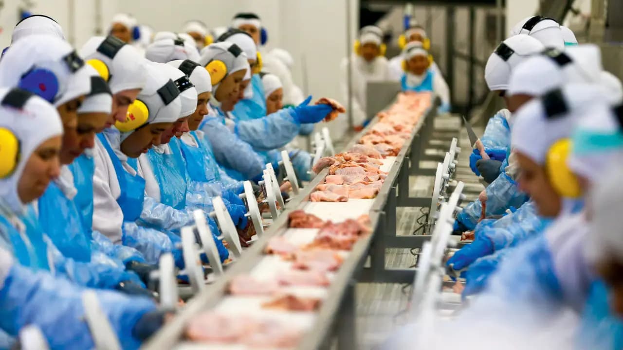 Governo reage a salvaguardas da China sobre carne bovina e tenta reduzir impacto ao setor