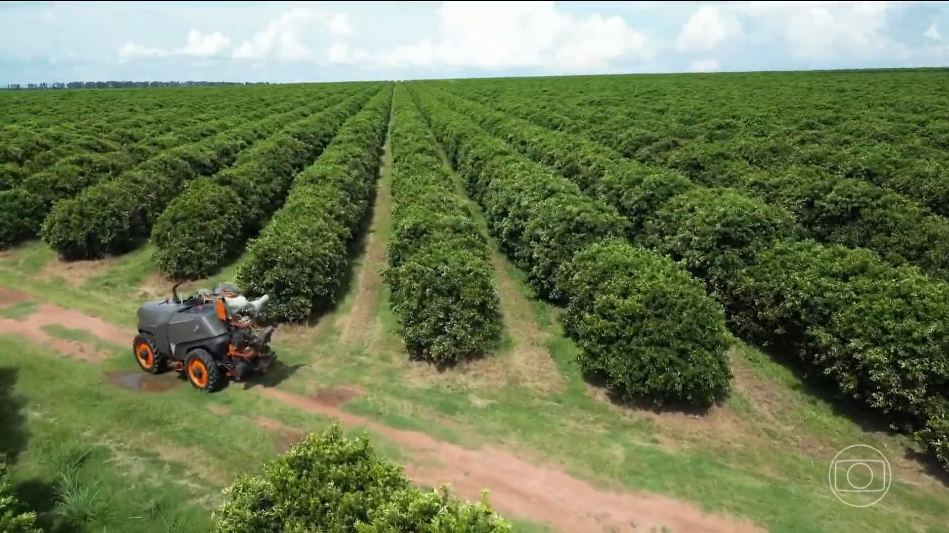 Inadimplência no agronegócio brasileiro atinge 8,2% e sinaliza pressão financeira no setor
