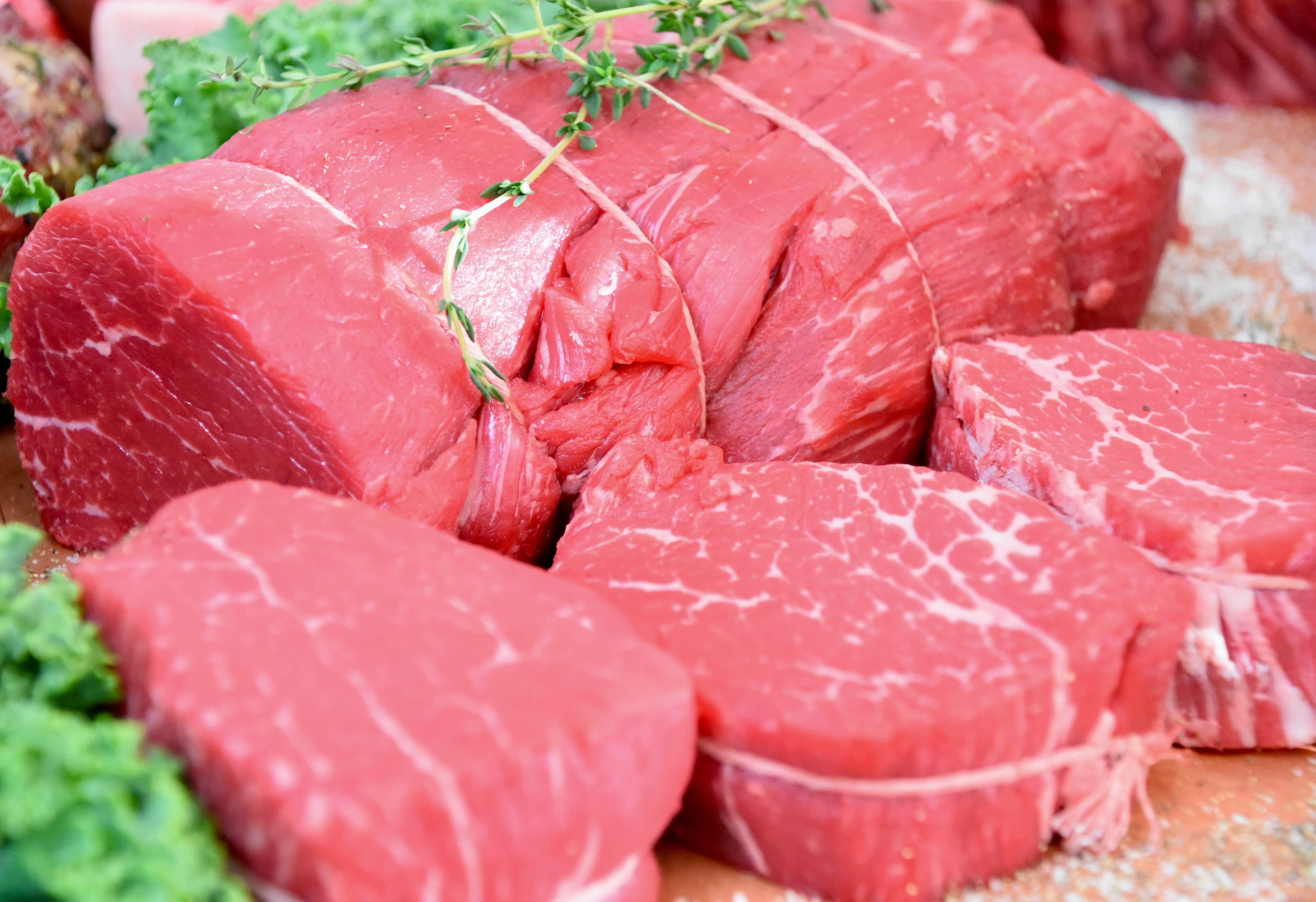 União Europeia impõe restrições à carne brasileira por uso de antimicrobianos