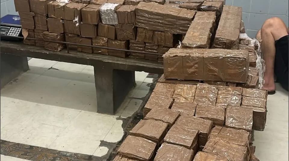 OPERAÇÃO PENTÁGONO: Polícia Militar de PE Apreende 230 Kg de Haxixe Avaliados em R$ 2 Milhões