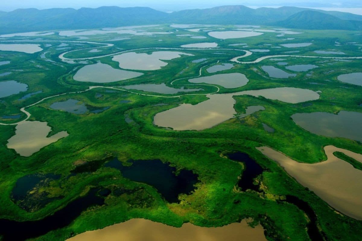 Governo Federal amplia áreas protegidas no Pantanal e cria nova unidade no Cerrado