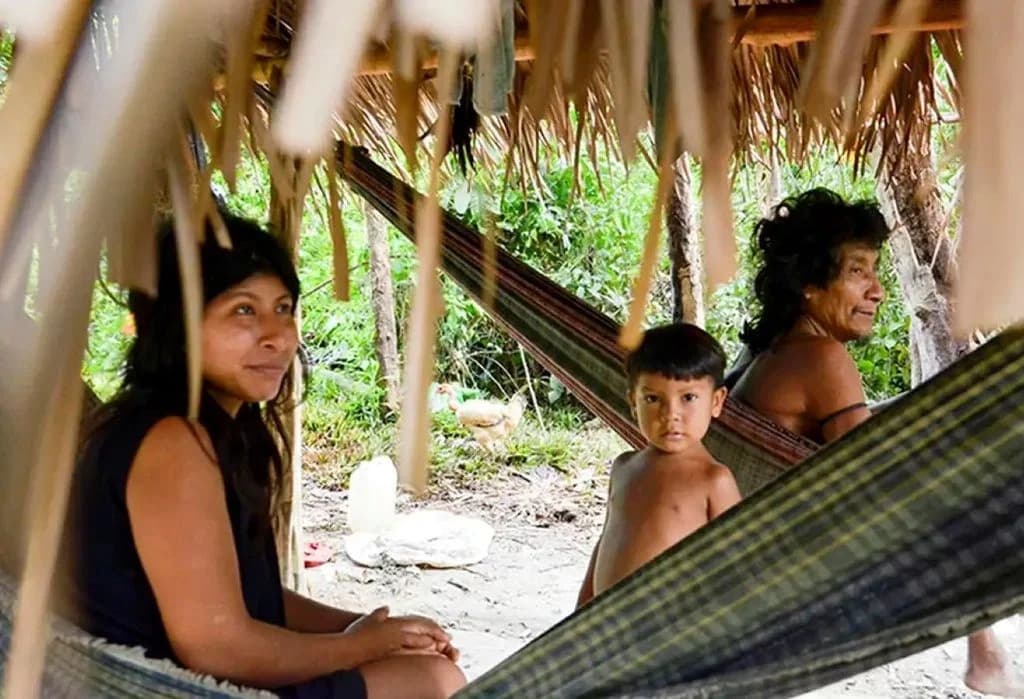 Brasil concentra maior número de povos indígenas isolados do mundo, mas maioria ainda não é reconhecida oficialmente