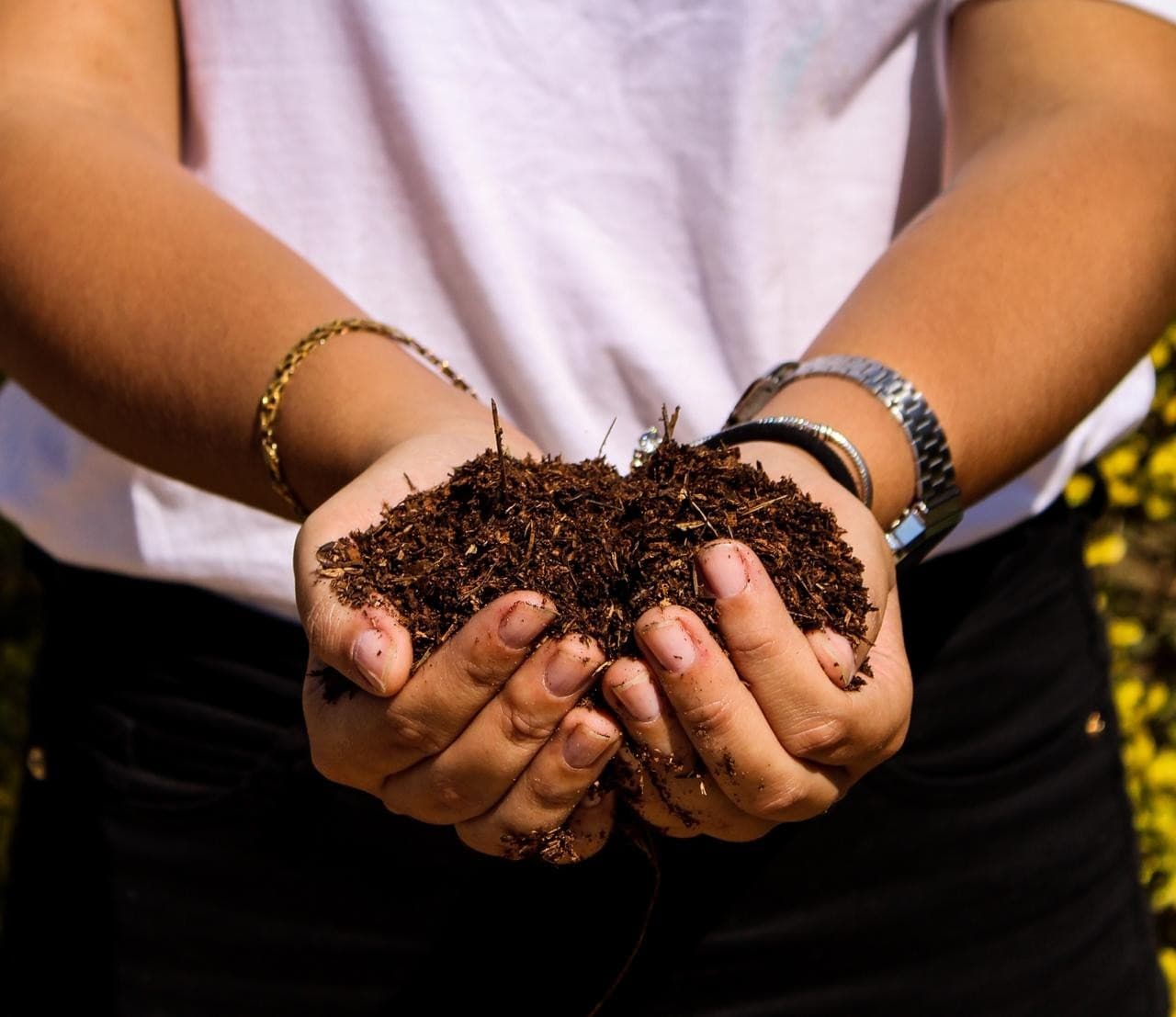 Usina Verde e novas tecnologias combatem desperdício de alimentos no Brasil