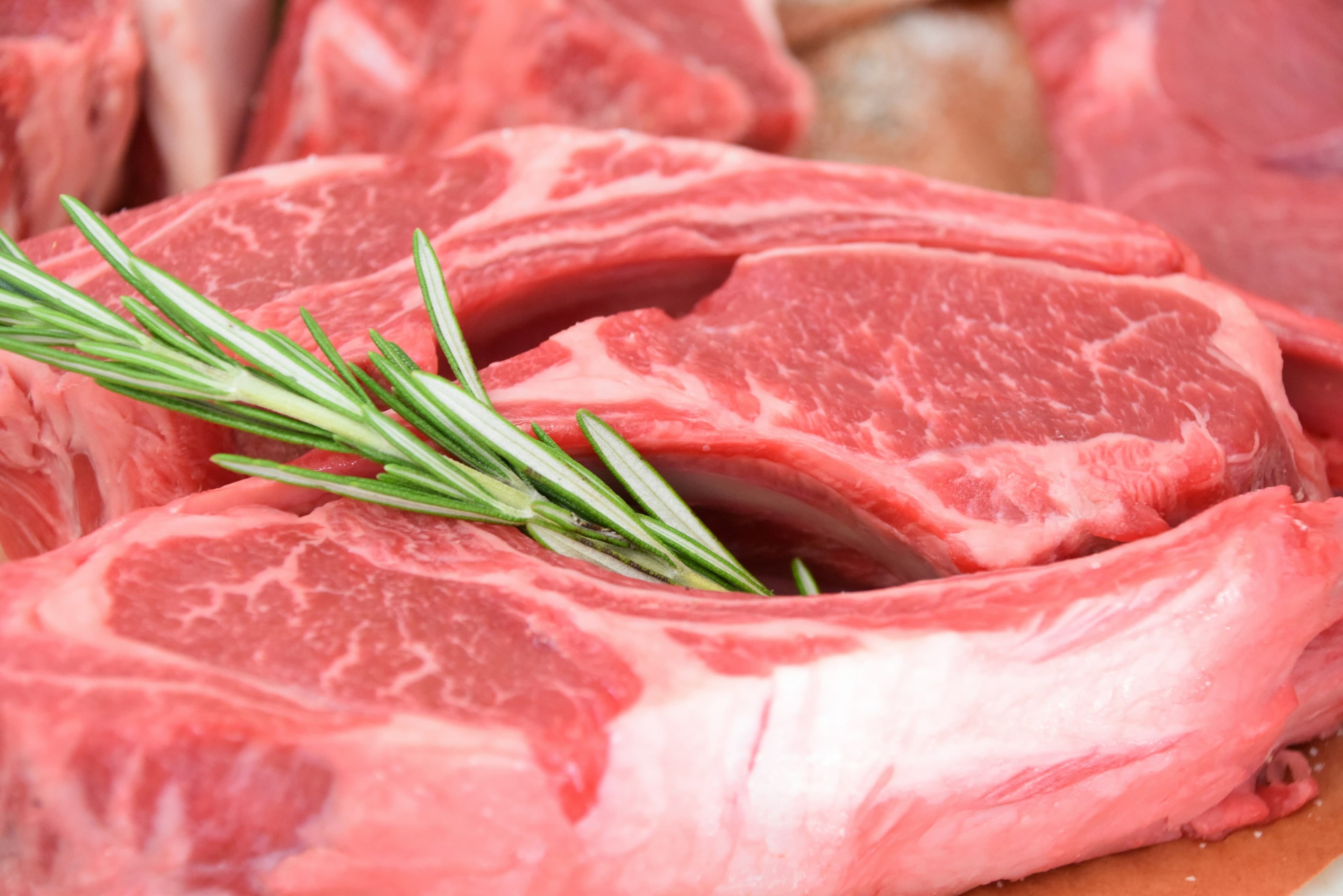 União Europeia impõe veto à importação de carne brasileira e gera crise diplomática
