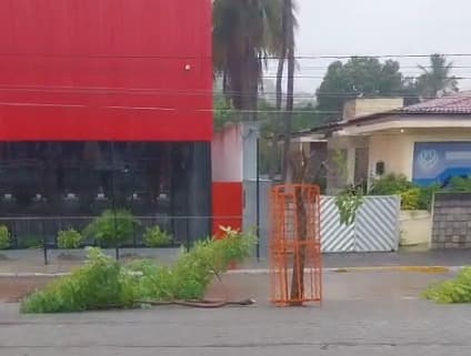🚨 Vandalismo danifica árvores no Pátio Ferroviário às vésperas do São João de Arcoverde