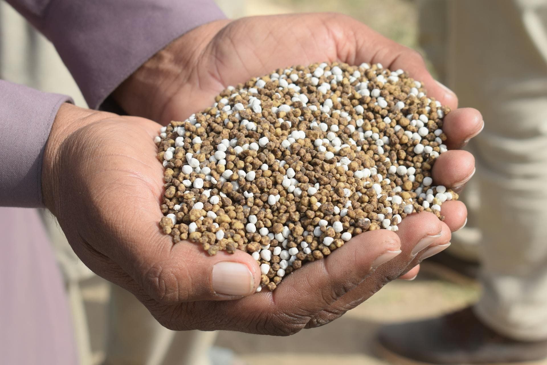 Brasil atinge recorde histórico na importação de fertilizantes em 2025 e alerta para vulnerabilidade do agronegócio