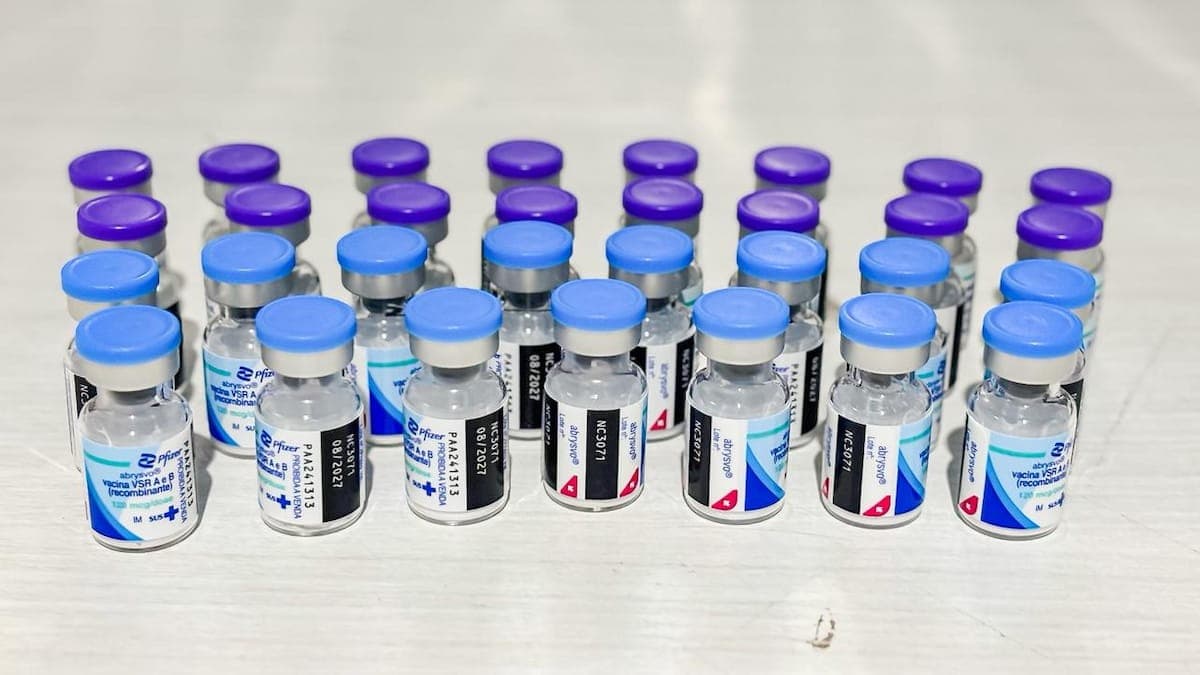 Pernambuco inicia vacinação de gestantes contra o vírus sincicial respiratório com chegada de 30,7 mil doses