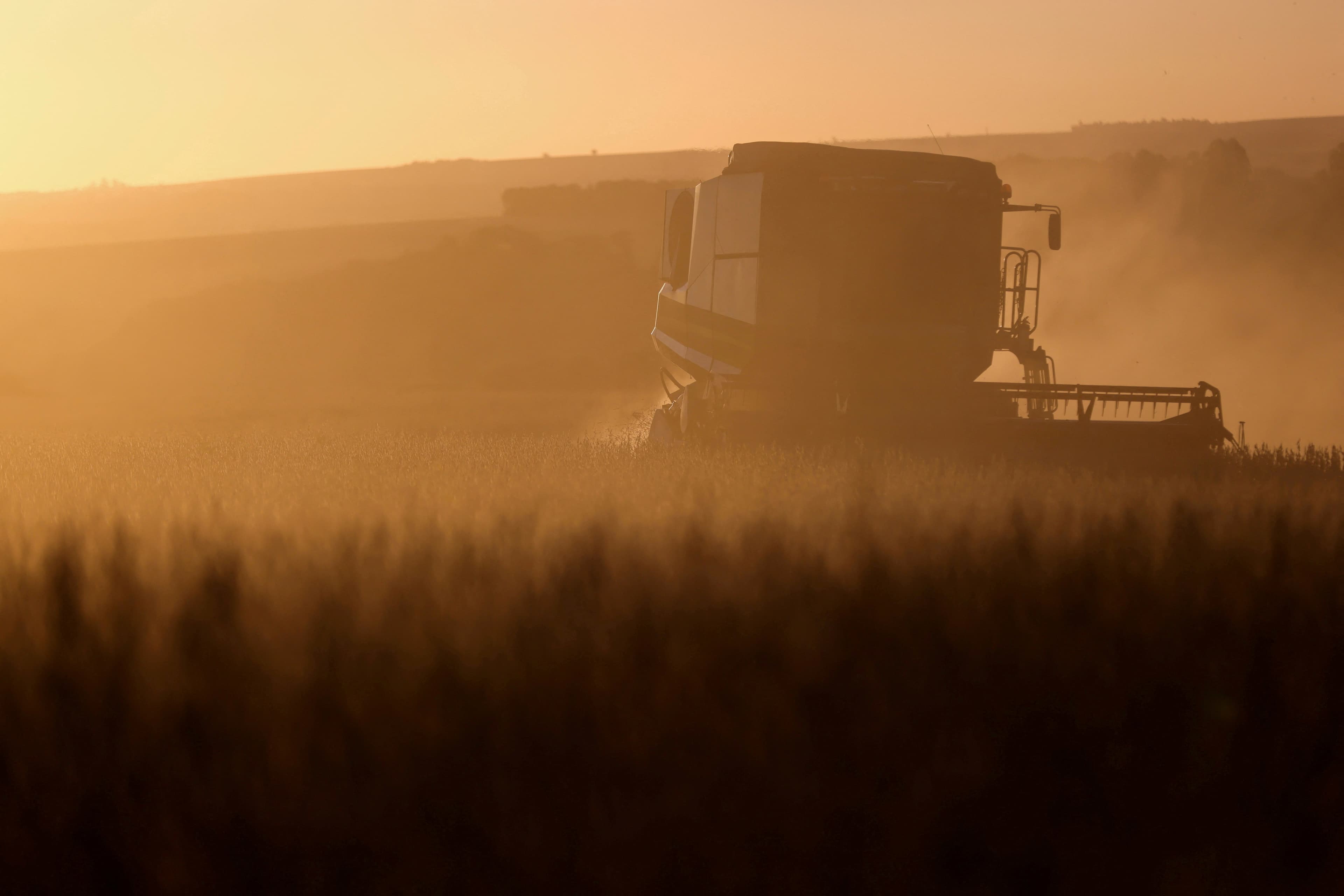 Crise no campo: Leilões de propriedades rurais disparam no Brasil devido à alta inadimplência