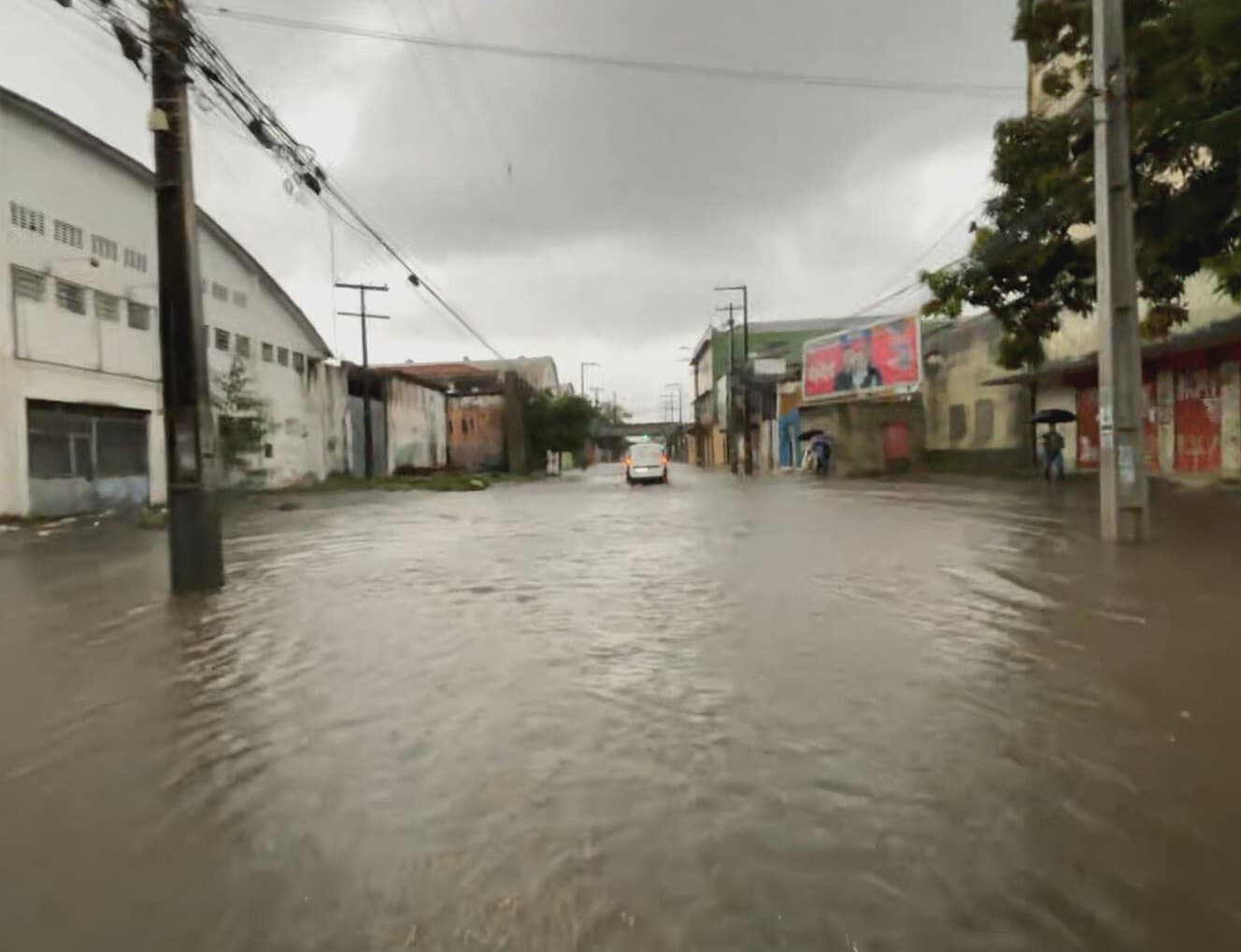 Justiça condena Prefeitura do Recife a indenizar motorista após queda de galho em carro