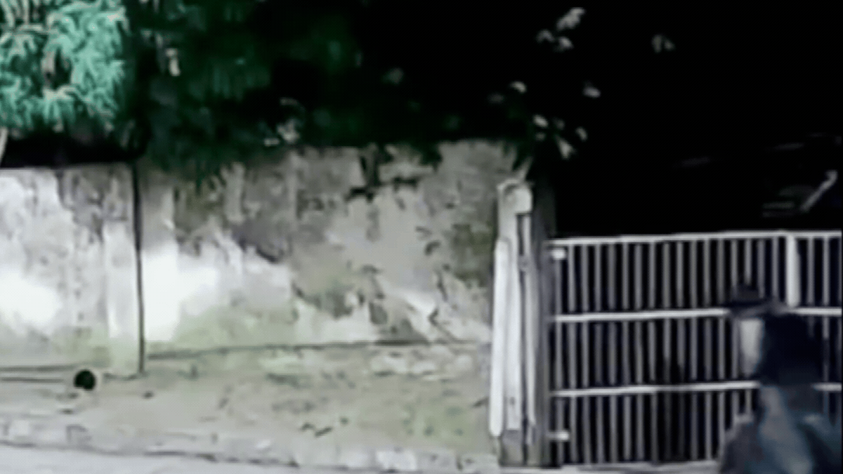 Homem é detido após aterrorizar moradores de Xexéu usando fantasia de criatura cinematográfica