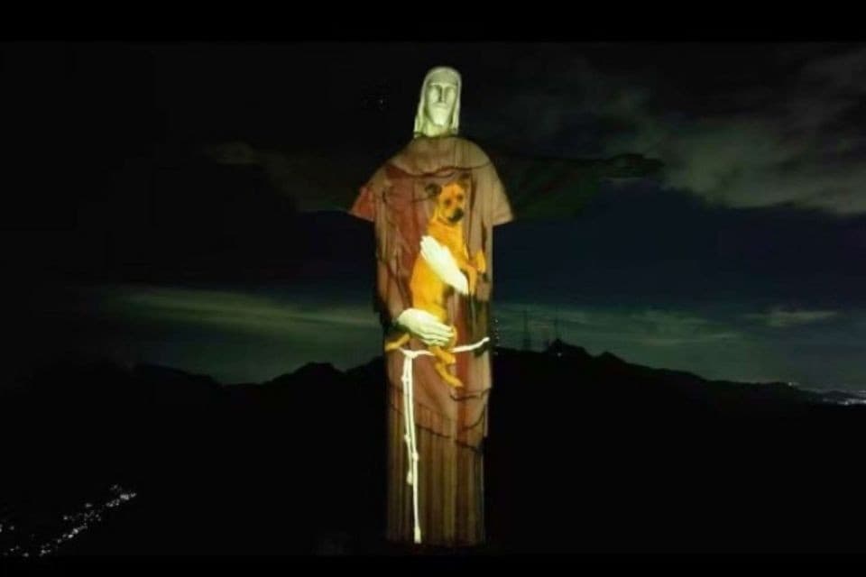 Cristo Redentor ''abraça'' cachorro vira-lata em projeção para promover adoção