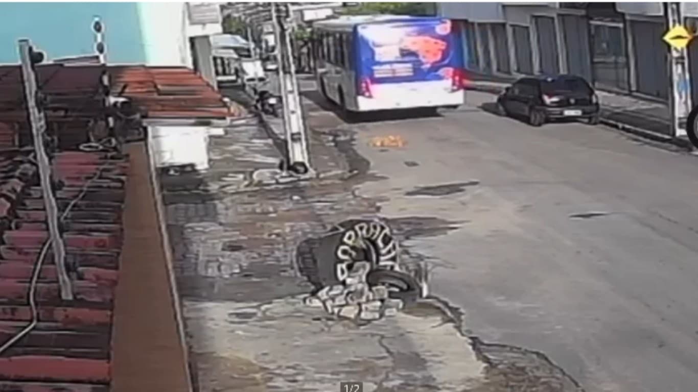 Atropelamento de cão por ônibus em Caruaru gera comoção e levanta debate sobre segurança viária
